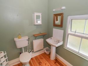 a bathroom with a toilet and a sink at Sea View House in Renvyle