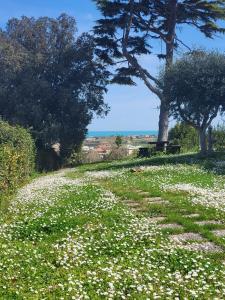 ein Blumenfeld mit einem Baum und einer Bank in der Unterkunft Villa Livia in Fermo