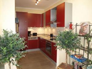キュールングスボルンにあるResidenz-Seestern-Wohnung-6-401の赤いキャビネットと鉢植えの植物2本が備わるキッチン