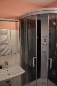 a bathroom with a shower and a sink at Sweet Dreams Wellness Appartement in Seefeld in Tirol