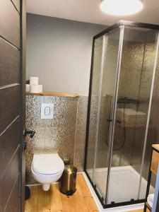 La salle de bains est pourvue de toilettes et d'une douche en verre. dans l'établissement Baladome, à Dörgicse