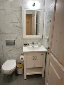 uma casa de banho com um WC, um lavatório e um espelho. em Porphyra Studio em Halki