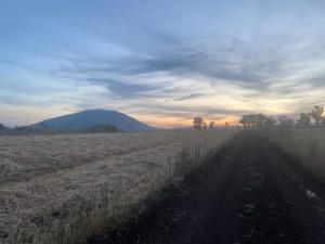 eine unbefestigte Straße auf einem Feld mit einem Berg im Hintergrund in der Unterkunft דירת נופש התבור Hatvor condo in Shadmot Devora