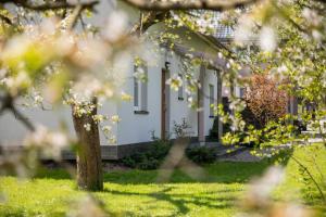 Vonkajšia záhrada v ubytovaní Apartamenty Przylesie
