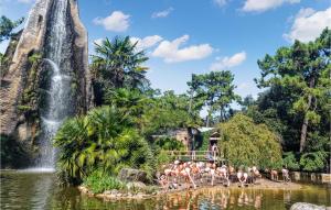 a group of flamingos standing in the water in front of a waterfall at Stunning stacaravan In Saint-georges-de-didon With Heated Swimming Pool in Saint-Georges-de-Didonne
