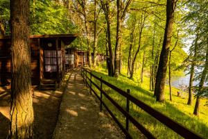 een hek naast een hut in het bos bij Ośrodek Wczasowy Klonownica in Augustów