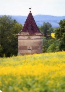 Paesaggio naturale nelle vicinanze dell'affittacamere