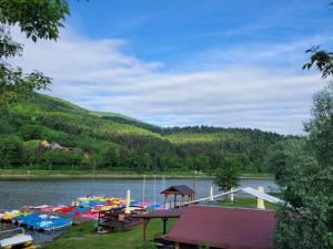 a group of boats docked at a dock on a lake at Studio 2-pokojowe z balkonem z widokiem na góry in Międzybrodzie Żywieckie