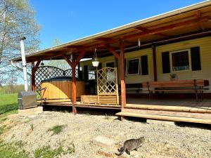 a cat walking in front of a house at Domek Holenderski Podlasie in Sejny