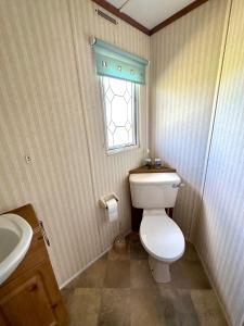 a bathroom with a toilet and a sink and a window at Domek Holenderski Podlasie in Sejny