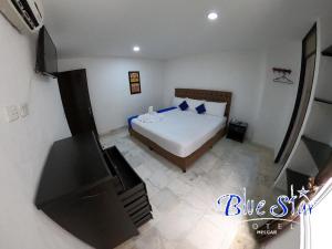 Blue Star Hotel في ميلغار: غرفة نوم بسرير وتلفزيون بشاشة مسطحة