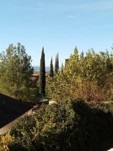 Beaufort的住宿－La Ruelle Van Uchelen，享有树木和灌木花园的景色