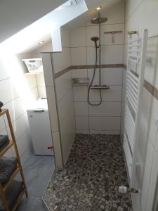 ein Bad mit einer Dusche und Fliesenboden in der Unterkunft Sammy's FeWo in Hahnenklee-Bockswiese
