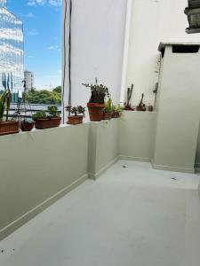 布宜諾斯艾利斯的住宿－Sol Palermo, Amplio departamento con terraza en zona La Rural, Embajada y Bosques，白色墙上有盆栽的植物的房间