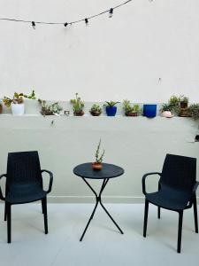 2 Stühle und ein Tisch mit einer Pflanze an der Wand in der Unterkunft Sol Palermo, Amplio departamento con terraza en zona La Rural, Embajada y Bosques in Buenos Aires