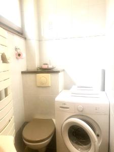 ein kleines Bad mit einer Waschmaschine und einem WC in der Unterkunft AUX DEUX CIGOGNES AMMERSCHWIHR in Ammerschwihr