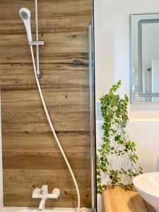 a shower with a hose attached to a wooden door at Residence Odaile #1 in Otopeni +23 photos