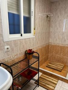 une douche avec un lavabo et une étagère dans une salle de bain dans l'établissement GRACIA, à Cordoue