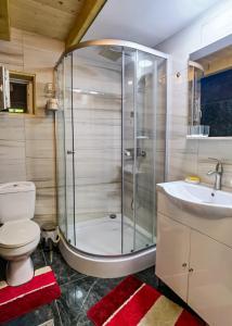 a bathroom with a shower and a toilet and a sink at Casa Danci II in Borşa +92 photos