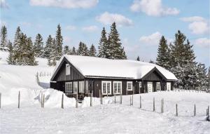 una casa ricoperta di neve in un campo di neve di Amazing Home In Sjusjen With Kitchen a Sjusjøen