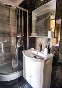 a bathroom with a sink and a shower at Casa Danci II in Borşa