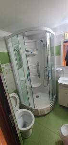 a bathroom with a shower and a toilet and a sink at Pensiunea Casa Beatrice in 2 Mai