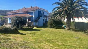 a house with a palm tree in the yard at Apartamentos ELROSAL2 in Cudillero