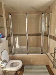 a bathroom with a shower and a toilet and a sink at Villa Armanbel in Sesimbra