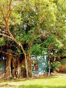 Gallery image of Villa Octavia in Mérida