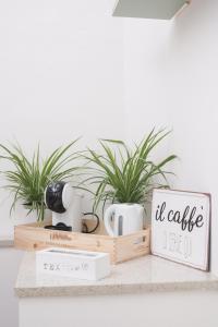 Un estante con plantas y un cartel que dice odio el café en Green Coast House 4, en Piombino