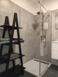 baño con ducha a ras de suelo y cristal en Apartman ANI, en Rijeka