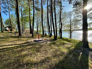 Przyroda w pobliżu tego apartamentu