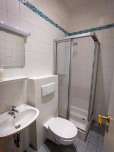 a bathroom with a toilet and a shower and a sink at Domhotel in Sankt Wendel