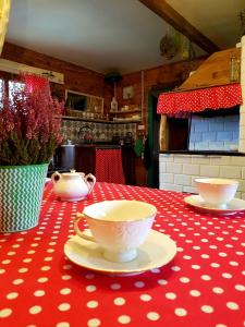 uma mesa com uma toalha de mesa de bolinhas vermelha e branca em Wiedźminowo em Włodawa