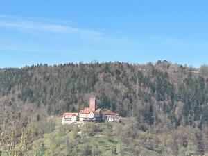 a house sitting on top of a hill at 1-Zimmerapartment mit Burgblick in Bad Liebenzell