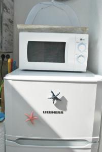 a microwave oven sitting on top of a refrigerator at Apartment Mediterraneo Blue Sky in Perast