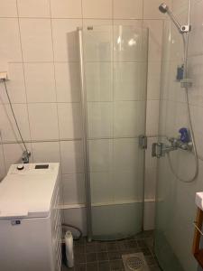 uma casa de banho com um chuveiro e uma porta de vidro em Parkview K10 em Helsinque