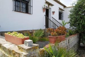 una casa con dos macetas de flores delante de ella en Casa Juncal, en Tarifa
