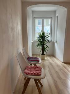 une chambre avec une chaise, une plante et une fenêtre dans l'établissement Italienische Gastfreundlichkeit im Herzen von Immenstadt, à Immenstadt