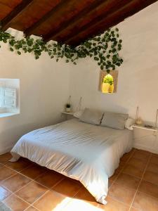 sypialnia z białym łóżkiem z roślinami na suficie w obiekcie La Tahona (Cortijo Andaluz en las montañas) w mieście Almogía
