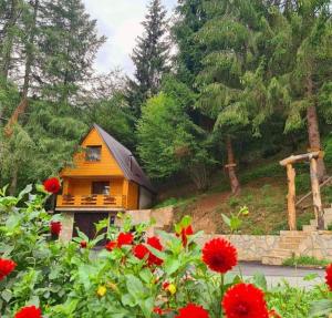 a small house on a hill with red flowers at Etno selo BISTROVO in Vitez +29 photos