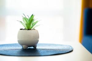 Fotografie z fotogalerie ubytování Cozy Home Santa Marina v destinaci Sozopol