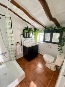 łazienka z toaletą, umywalką i wanną w obiekcie La Tahona (Cortijo Andaluz en las montañas) w mieście Almogía