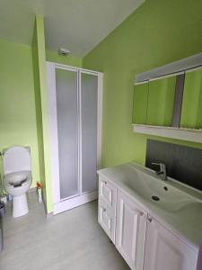 baño verde con aseo y lavamanos en Appartement Cosy proche Mer en Gouville-sur-Mer
