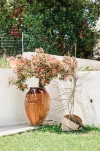 a large vase with flowers in it next to a wall at Serenità in Lefkimmi
