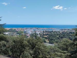 Príroda v okolí apartmánu