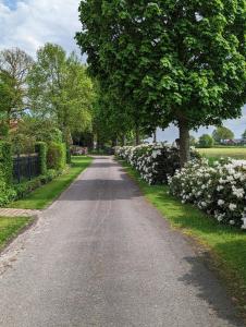 uma longa estrada com flores brancas e árvores em Natures-Rest Wielen em Wielen