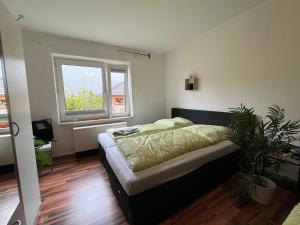 a bedroom with a bed and a window at Sali - E10 - WLAN, Waschmaschine in Essen