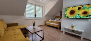 ein Wohnzimmer mit einem Sofa und einem TV an der Wand in der Unterkunft Kolorowe Cieplice - Apartamenty z widokiem na Karkonosze in Jelenia Góra