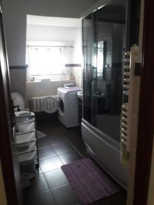 a bathroom with a shower and a sink and a tub at Apartament u Dany Las wita Was w otoczeniu gór i dzikiej przyrody in Golińsk +25 photos